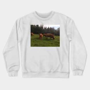 Scottish Highland Cattle Cows 2028 Crewneck Sweatshirt